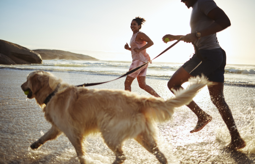 Four Best Pet-Friendly Holidays in Europe