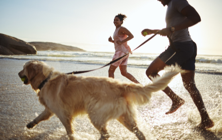 Four Best Pet-Friendly Holidays in Europe