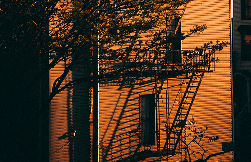 The Many Shades of Autumn in New York