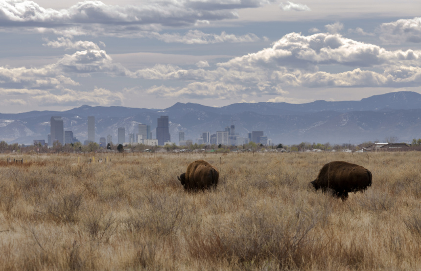 24 Hours in Denver