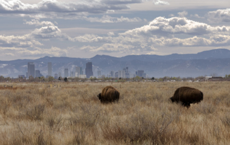 24 Hours in Denver