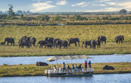Our Four Favourite Boat Safaris Around the World