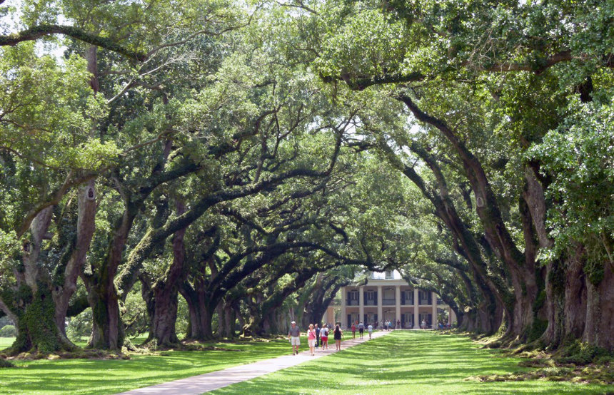Top Eight Things to Do in Louisiana