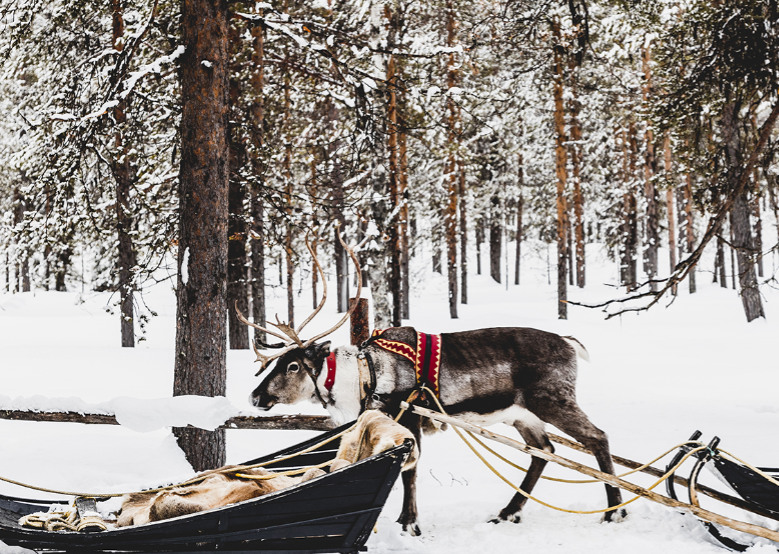 Where to go in Europe in Winter