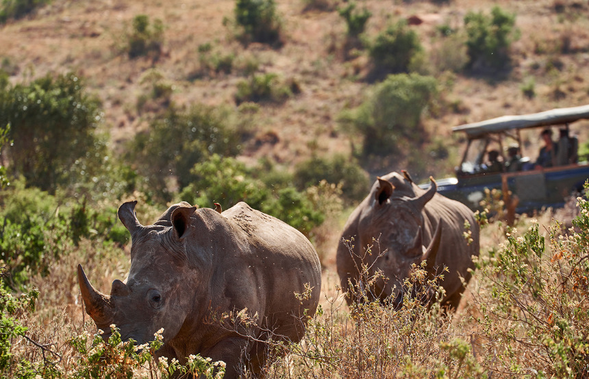 How Kenya Safaris are Changing