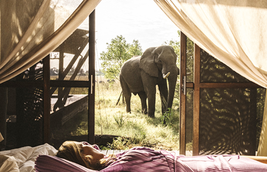 Secret Safaris: Alternative Safari Destinations