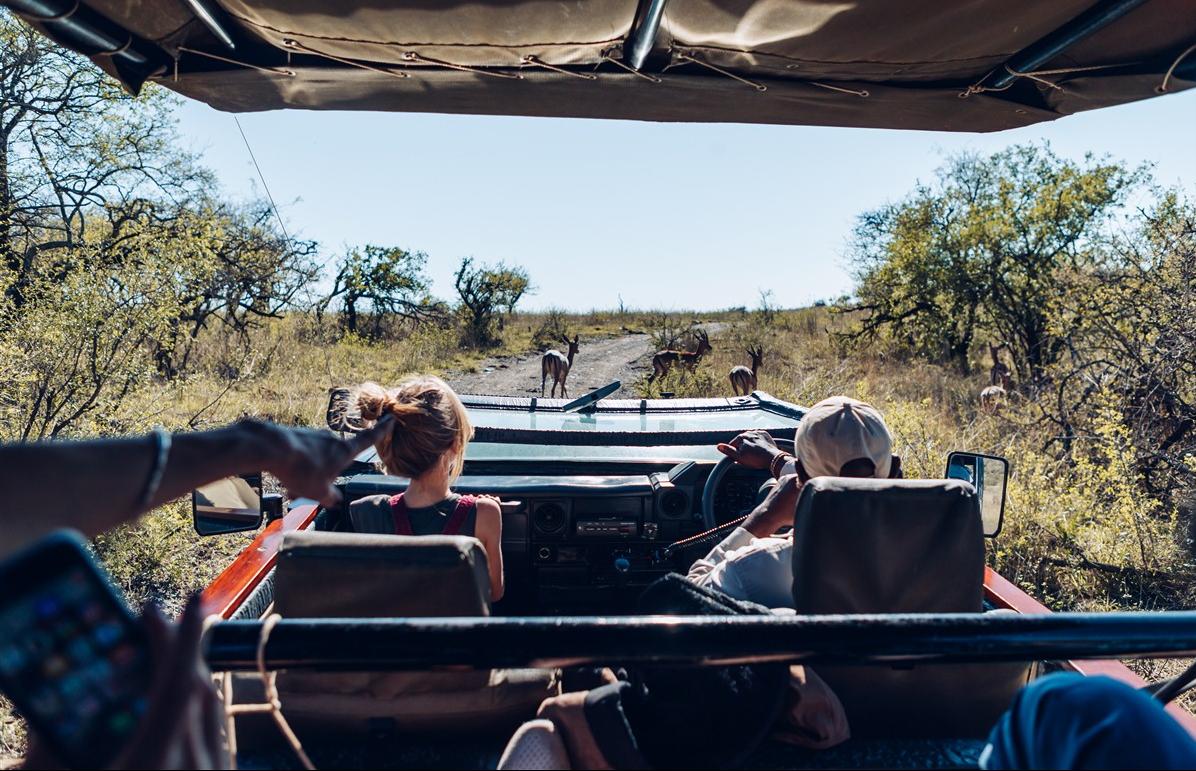 The Best Road Trips in South Africa