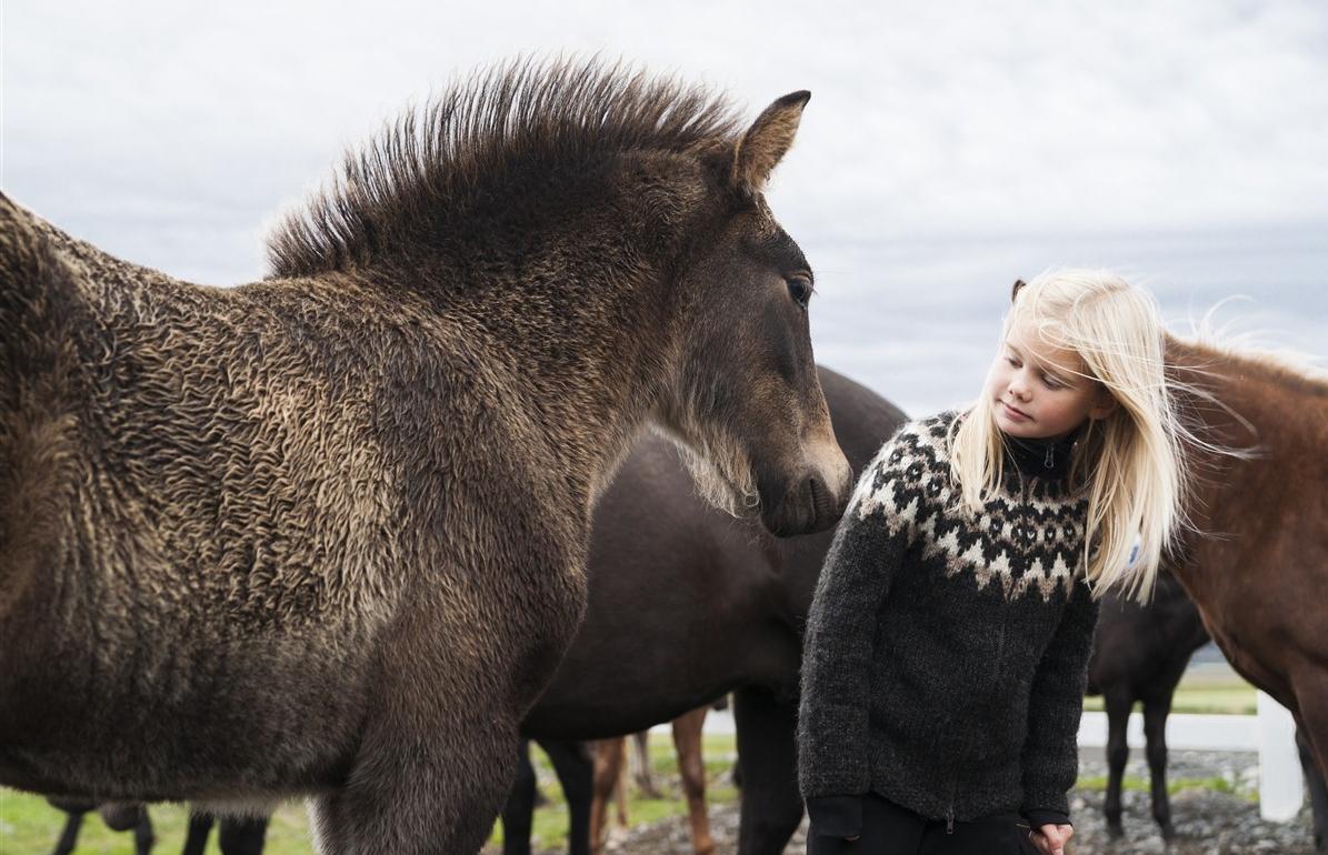 4 books to read before going to Iceland