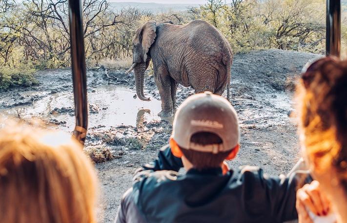 A Family Friendly Safari in South Africa