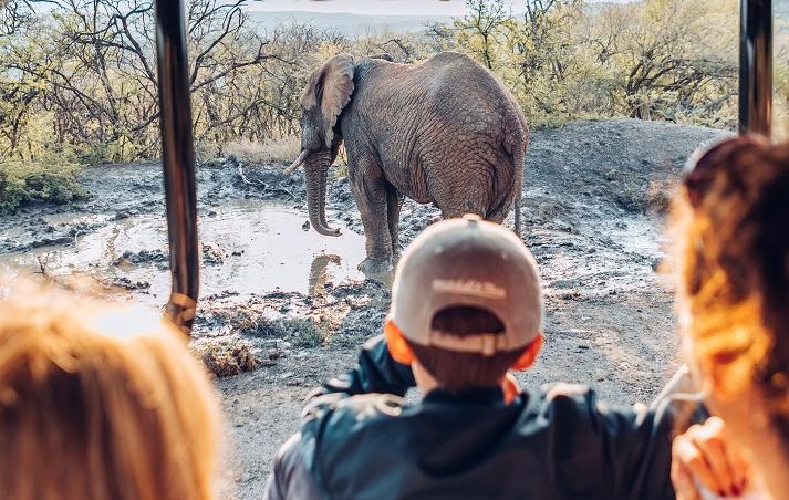 A Family Friendly Safari in South Africa