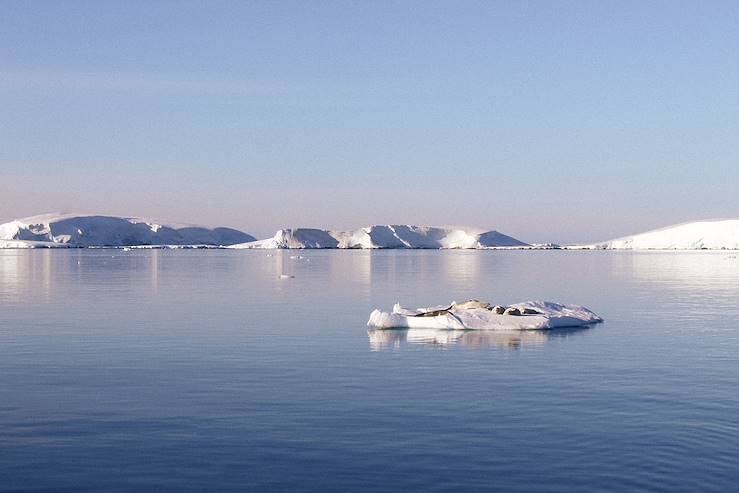 Antarctica © Daria Nikitina