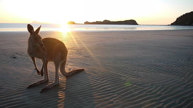 Kangaroo Island - Australia