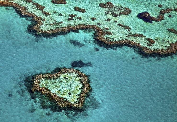 Great Barrier Reef - Queensland - Australia