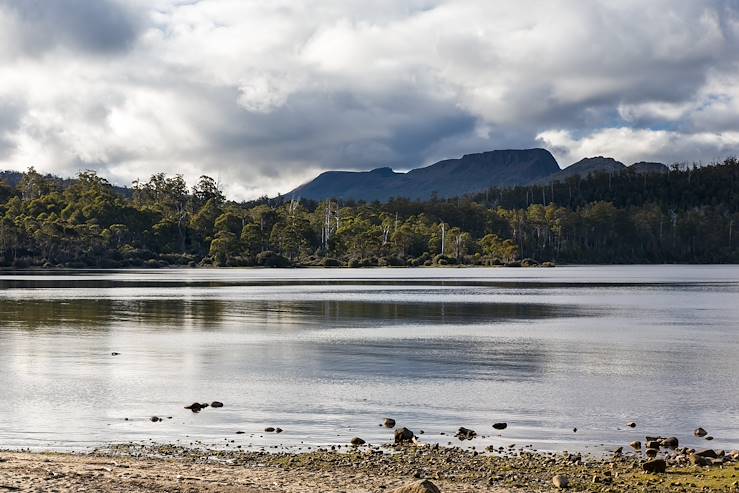 National Park Cradle Mountain-Lake St Clair - Tasmania - Australia