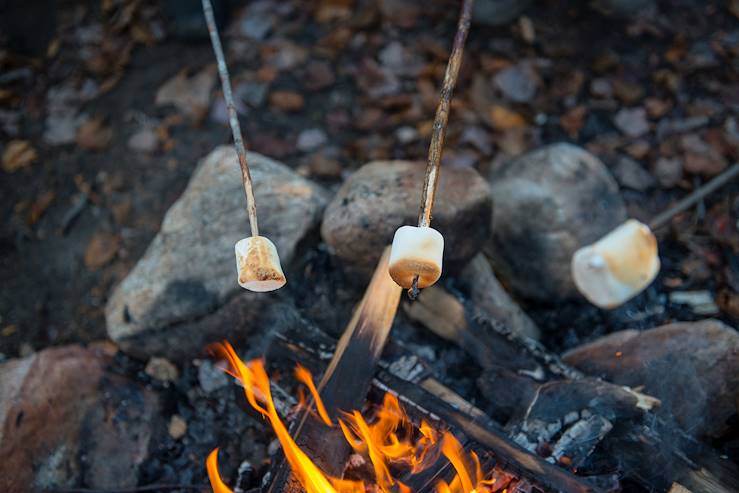 Fire camp and marshmallow - Quebec - Canada