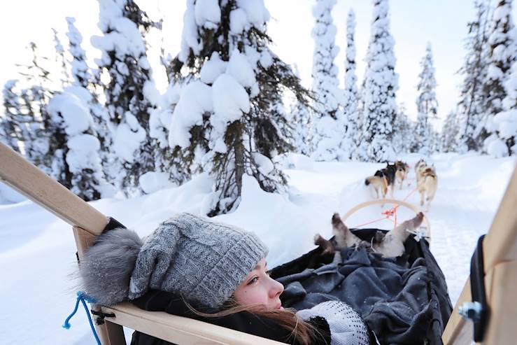 In a dog sled - Finland