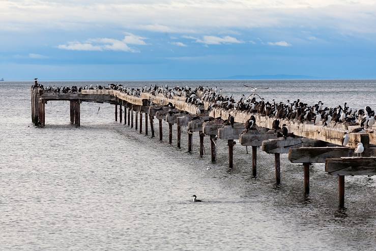 Punta Arenas - Chile