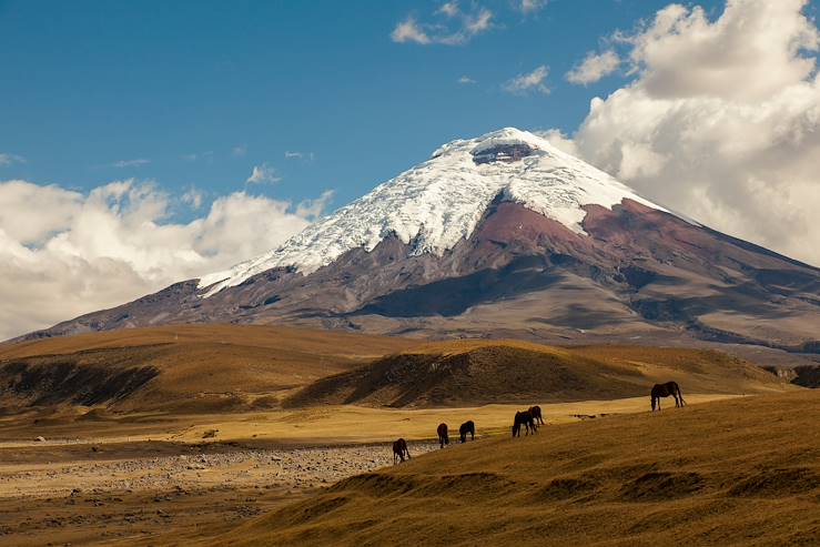 Cotopaxi Volcano - Ecuador