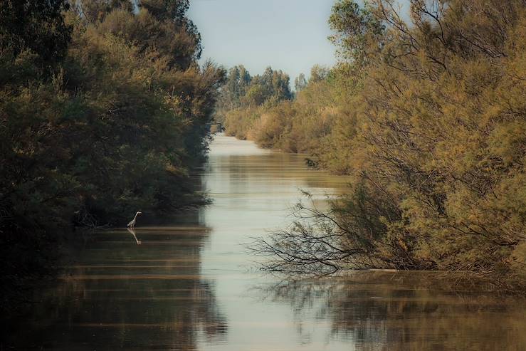 Doñana - Spain