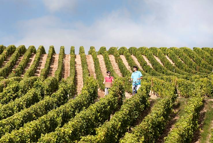 Bike ride in the vineyards - The Loire by bike - France © S. Quidet / CRT Centre Val de Loire