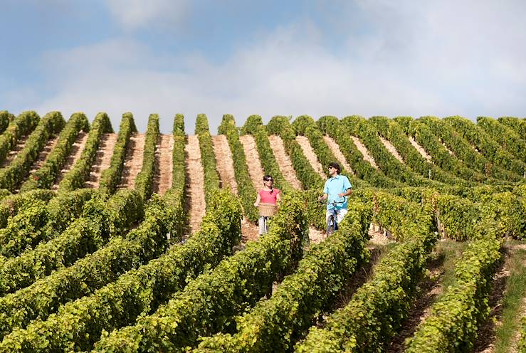 Bike ride in the vineyards - The Loire by bike - France