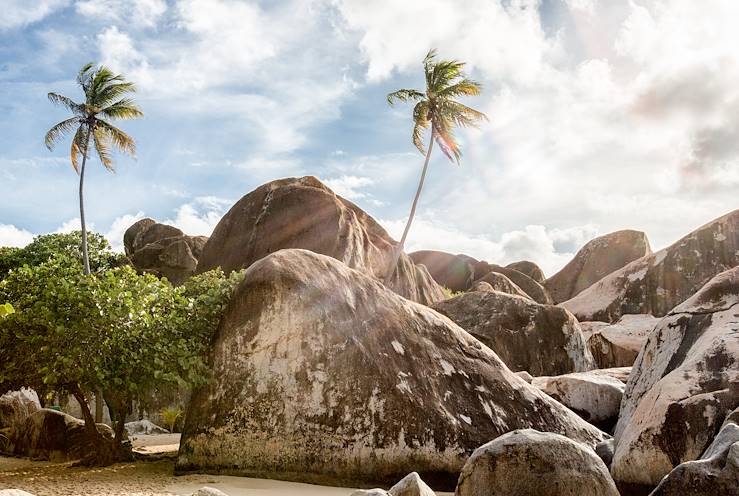 Palm trees, rocks and sand - Grenada
