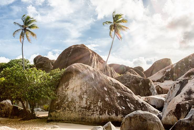 Palm trees, rocks and sand - Grenada