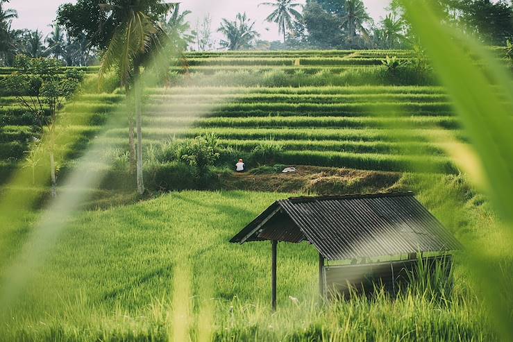 Bali - Indonesia