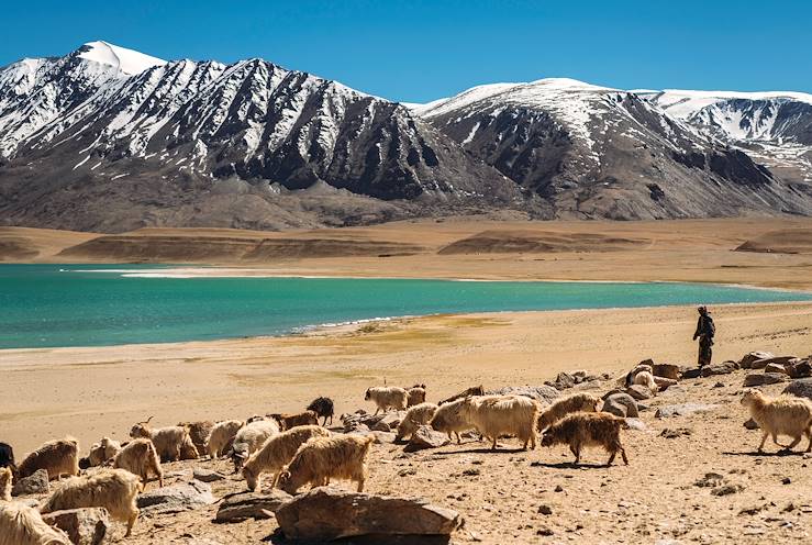 Ladakh - India © Eduardo Huelin/Adobe Stock