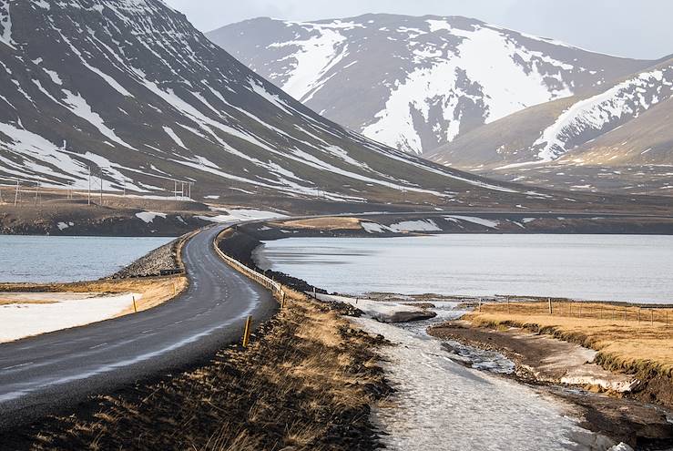 Winding road in Iceland