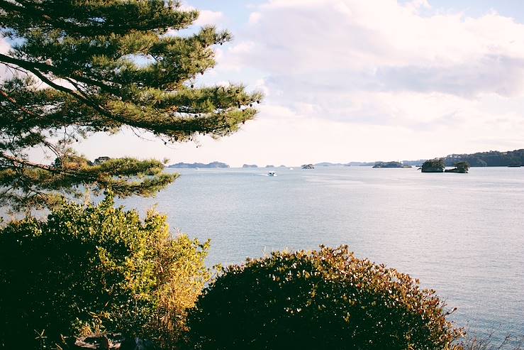 Baie de Matsushima - Japon