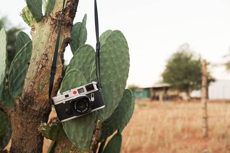 Cactus and camera - Kenya