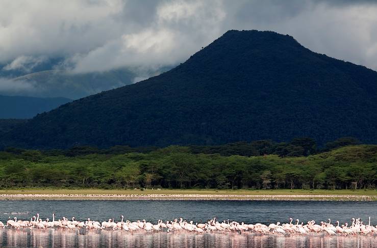 Lake Naivasha - Kenya