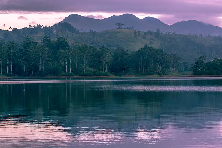 Camellia Hills - Hatton - Sri Lanka © Droits reservés