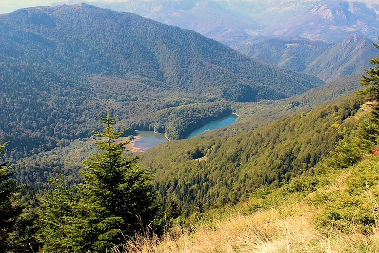 Biogradska Gora National Park - Montenegro © Catherine Lebray