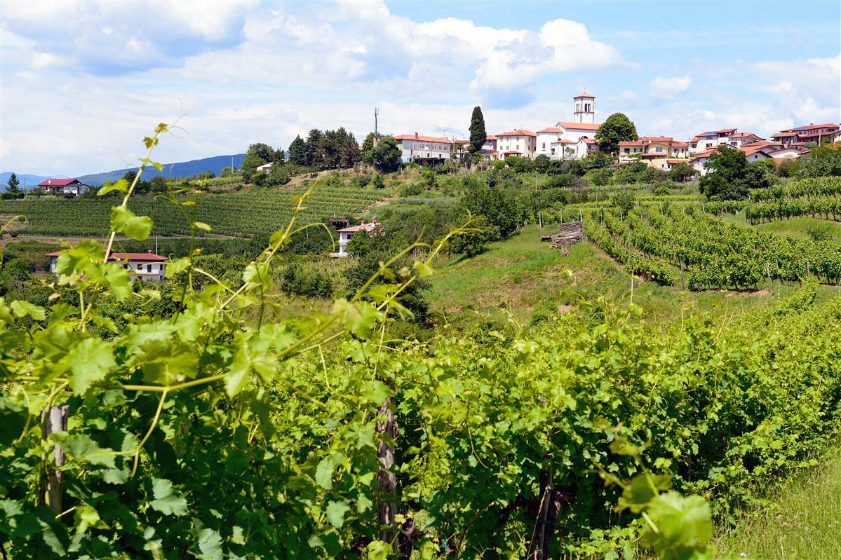 Goriska Brda - Slovenia