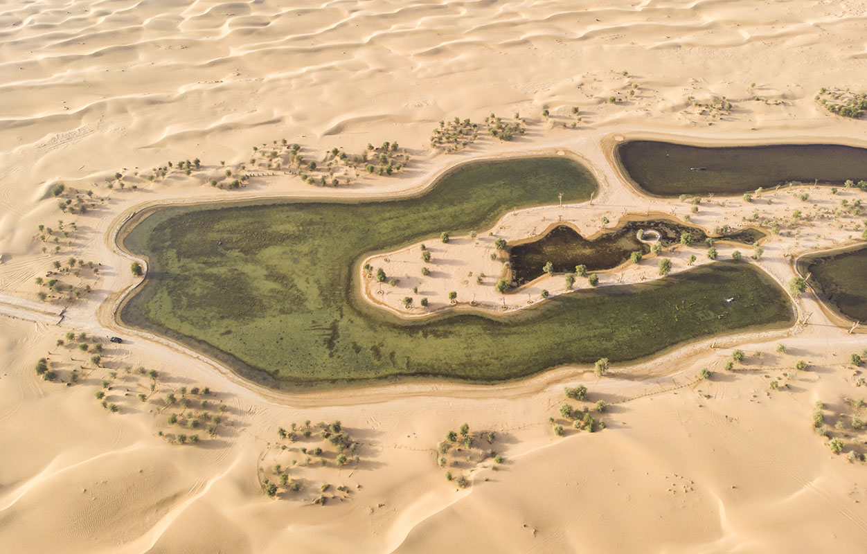 Oasis in desert - Oman