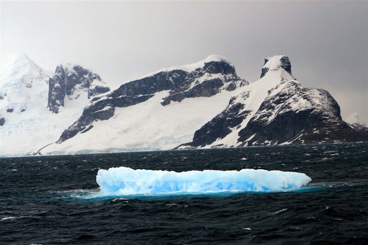 Iceberg - Antarctica