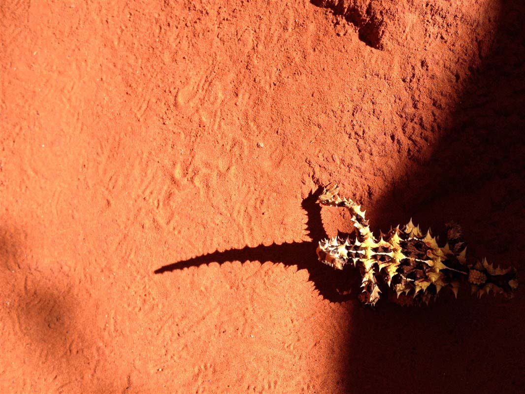 Alice Springs - Australia