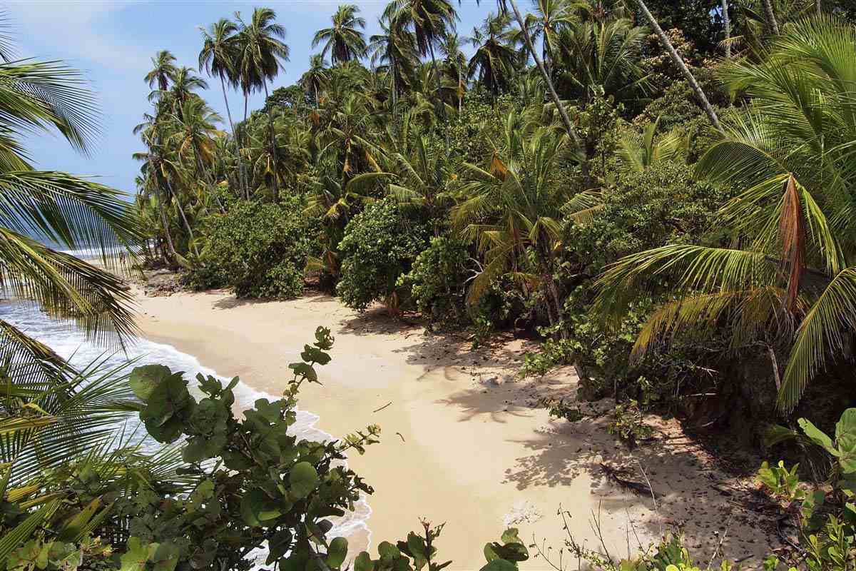 Beach and jungle - Belize