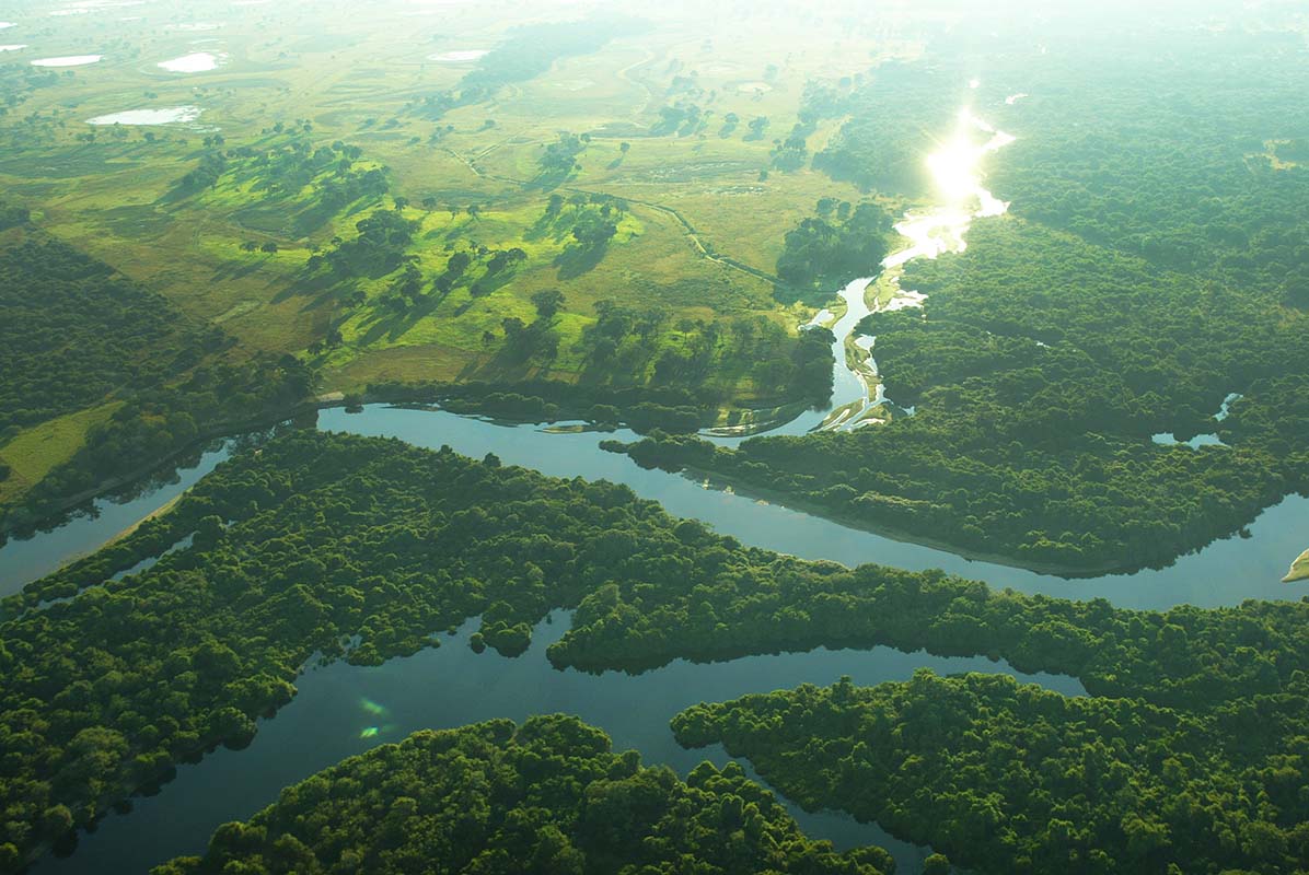 Pantanal - Brazil