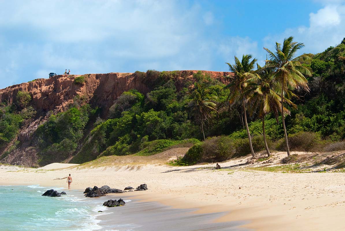 Beach - Brazil