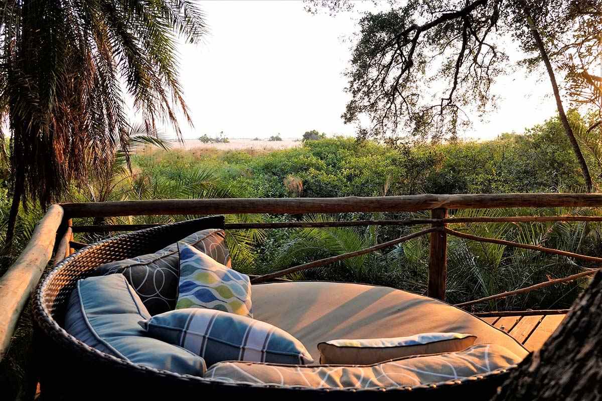 Lodge in the jungle - Bostwana