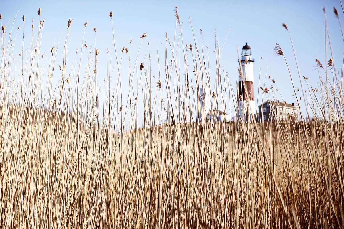 Lighthouse - Canada