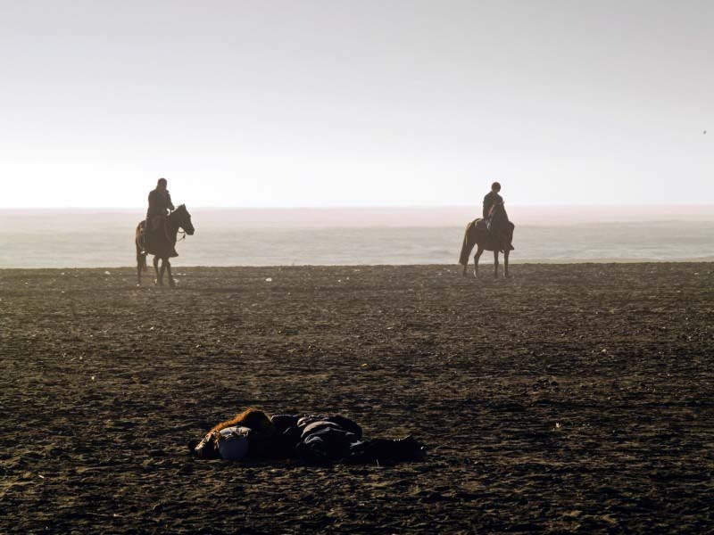 Horses and sea - Chile