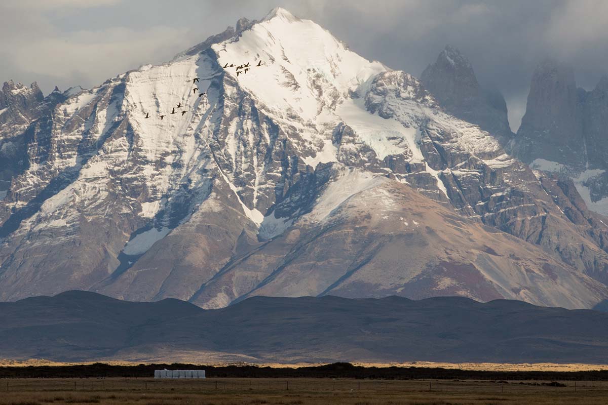 Torres del Paine National Park - Patagonia - Chile