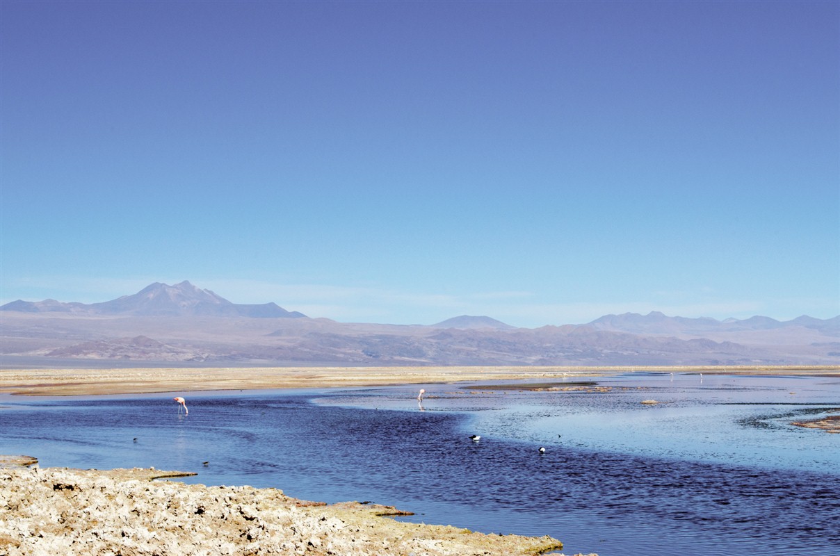 Laguna Cejar - Antofagasta - Chili