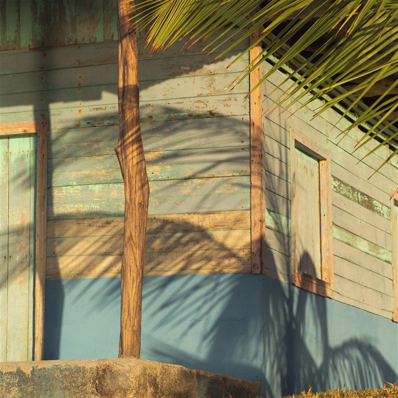 House and palm tree - Costa Rica