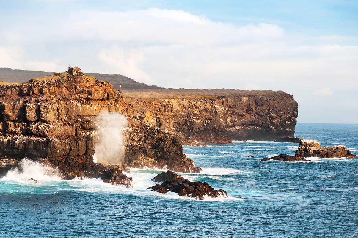 Punta Suarez - Ecuador