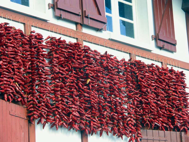 Chili pepper - Basque Country - France
